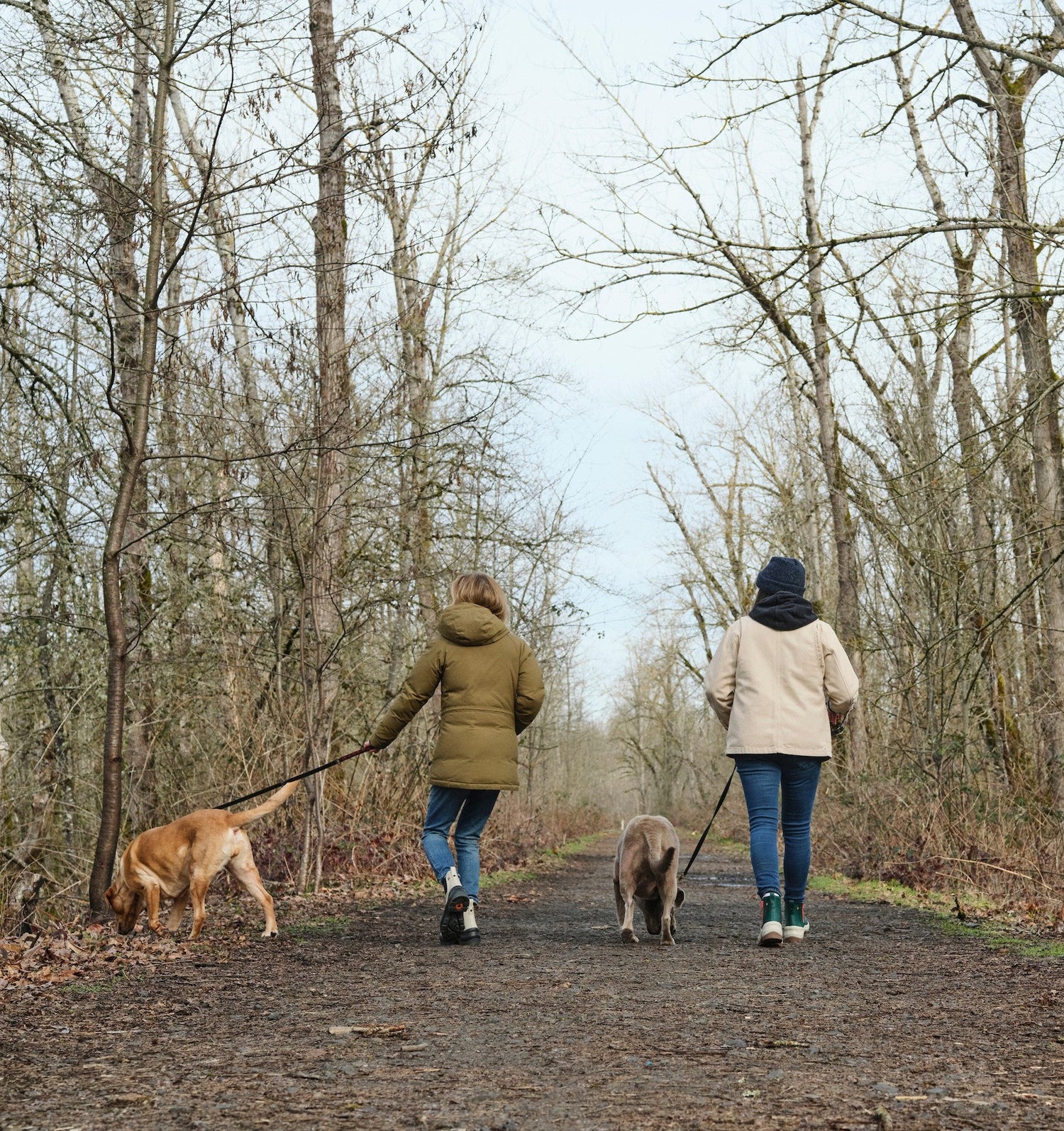 Wellies for Dog Walking